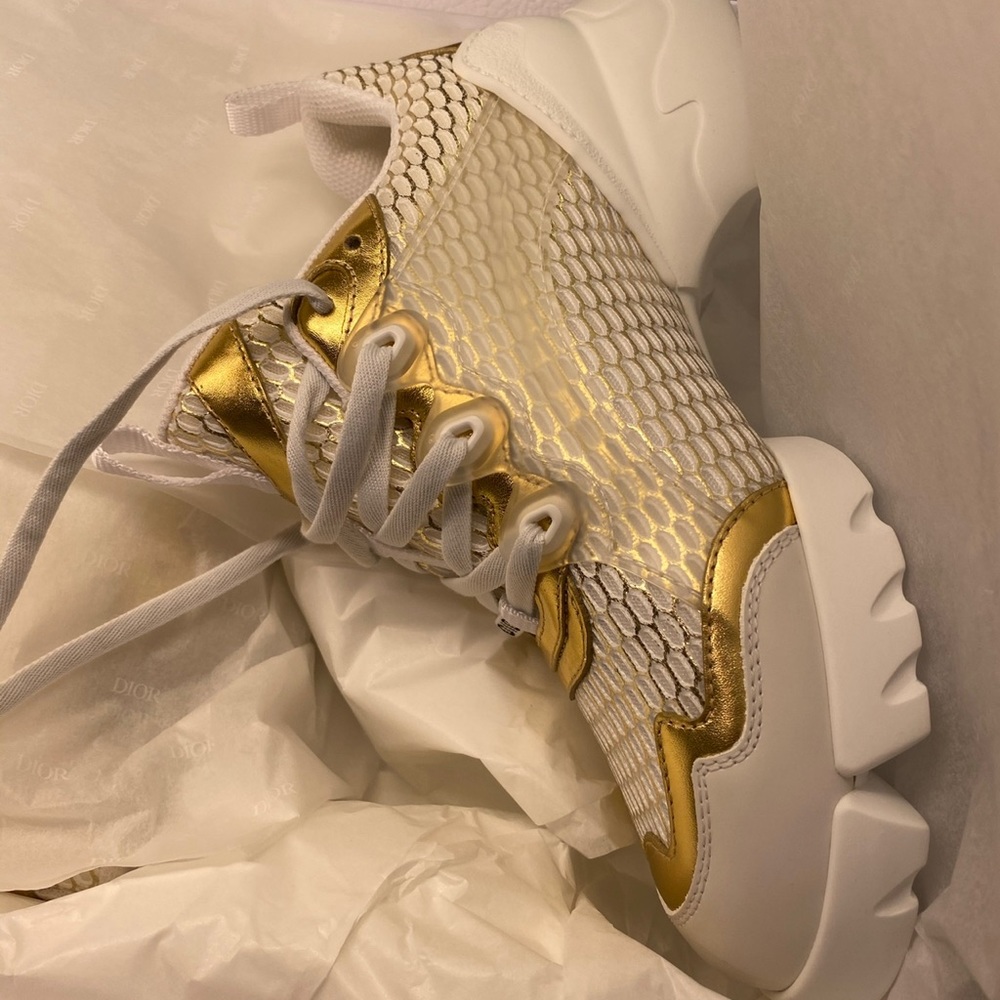 Dior sneakers